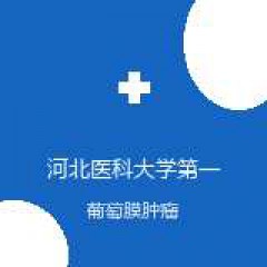 河北医科大学第一医院 眼科 葡萄膜肿瘤 在线预约挂号