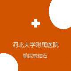 河北大学附属医院 生殖中心 输尿管结石 在线预约挂号