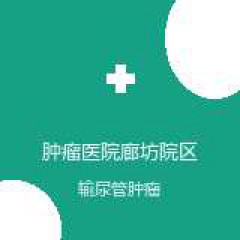 中国医学科学院肿瘤医院廊坊院区 泌尿外科 输尿管肿瘤 在线预约挂号