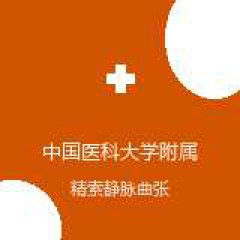 中国医科大学附属盛京医院 生殖医学中心 精索静脉曲张 在线预约挂号