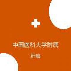 中国医科大学附属盛京医院 肿瘤科 肝癌 在线预约挂号