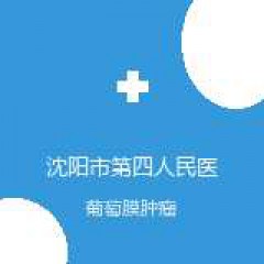 沈阳市第四人民医院 眼底 葡萄膜肿瘤 在线预约挂号