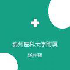 锦州医科大学附属第一医院 普外科大肠外科 肠肿瘤 在线预约挂号