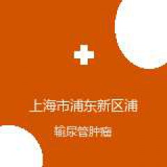 上海市浦东新区浦南医院 泌尿外科 输尿管肿瘤 在线预约挂号