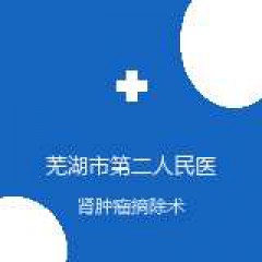 芜湖市第二人民医院 泌尿外科 肾肿瘤摘除术 在线预约挂号