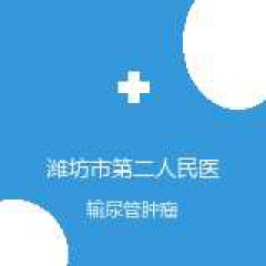 潍坊市第二人民医院 肝胆泌尿外科 输尿管肿瘤 在线预约挂号